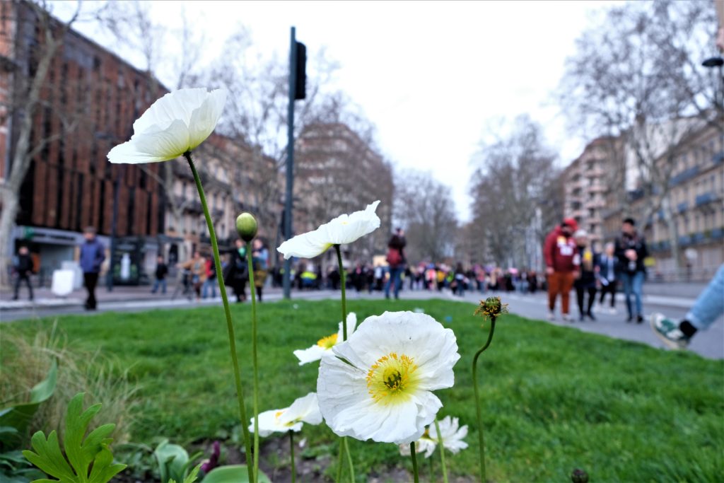 8 mars Toulouse