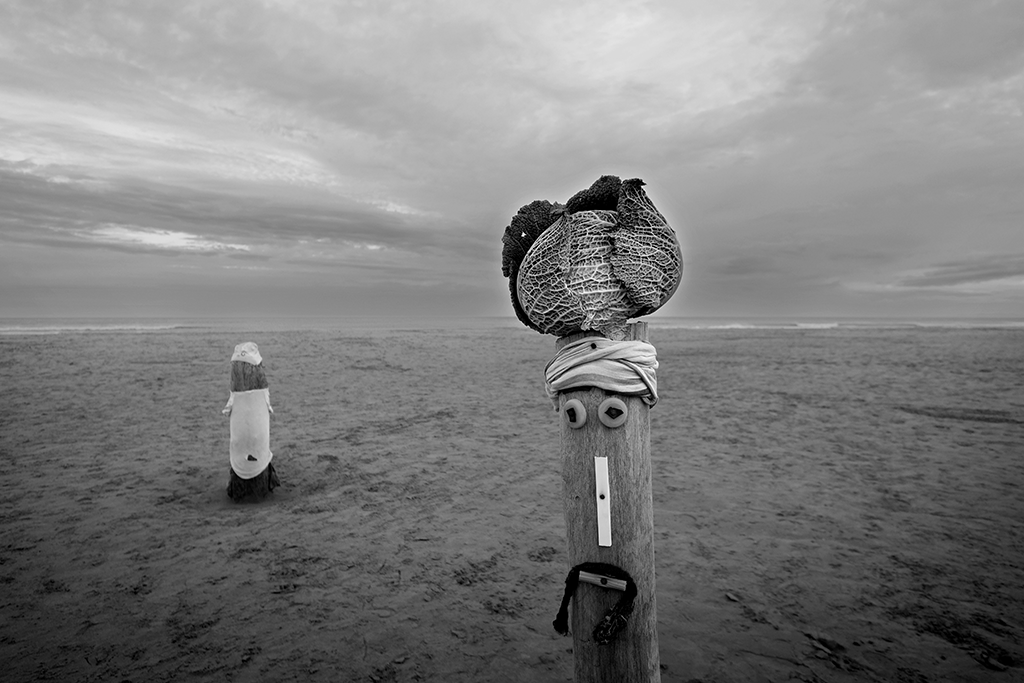 Chou à la plage en hiver - Pablo Arce photographies©